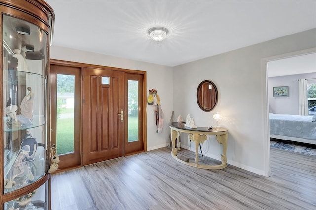 foyer with light hardwood / wood-style flooring