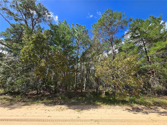 Selma Ave, Interlachen FL, 32148 land for sale