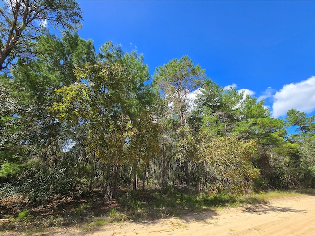 Selma Ave, Interlachen FL, 32148 land for sale