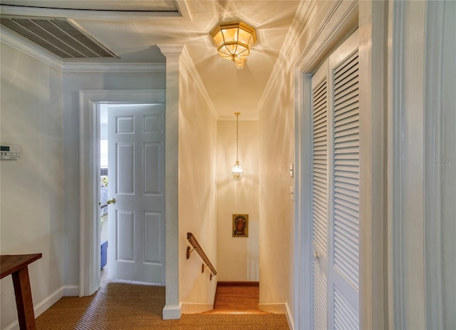 entryway featuring crown molding and carpet floors