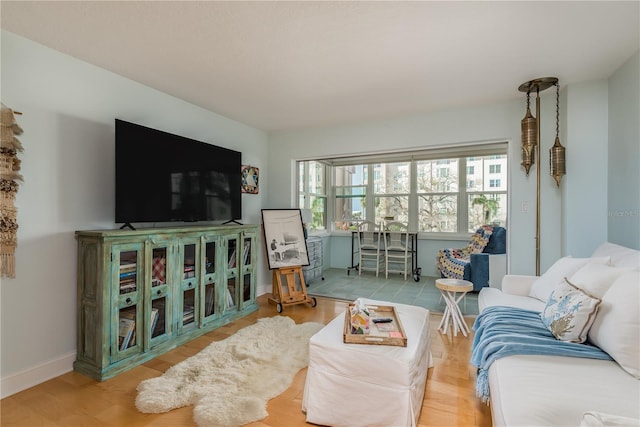 living room featuring wood-type flooring