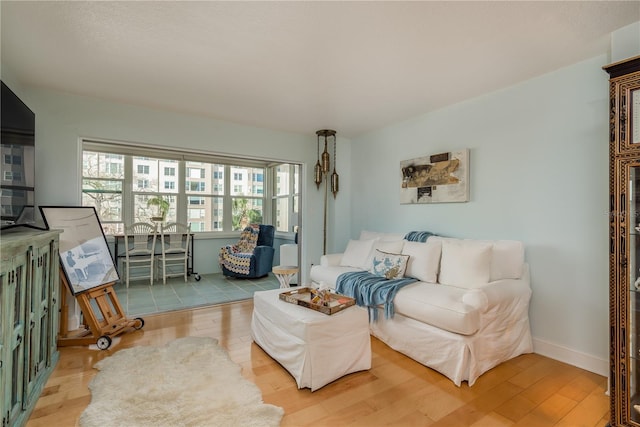 living room featuring wood-type flooring