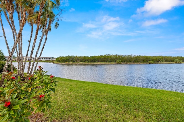 property view of water