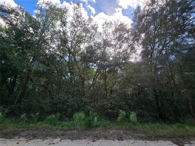 Hugh St, Interlachen FL, 32148 land for sale