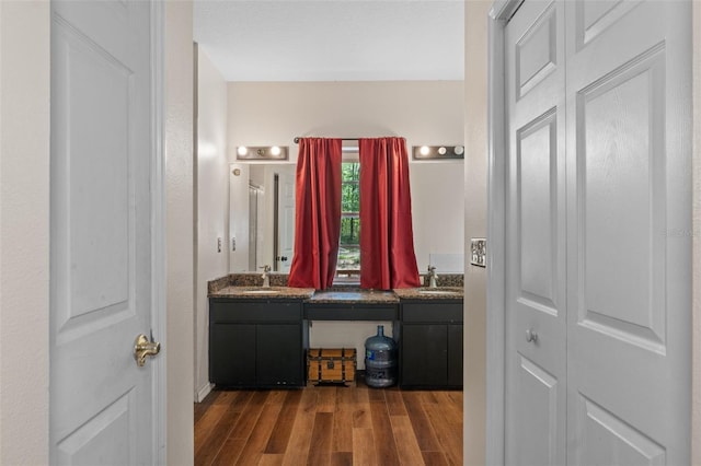 bathroom with double vanity, a closet, wood finished floors, and a sink