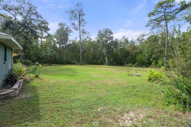 view of yard with a view of trees