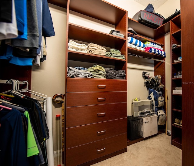 walk in closet with light colored carpet