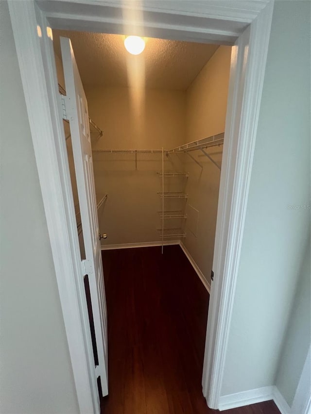 walk in closet with dark wood-type flooring