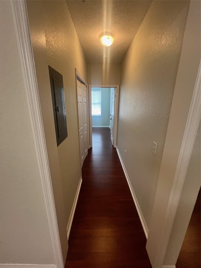 corridor featuring electric panel, dark hardwood / wood-style flooring, and a textured ceiling