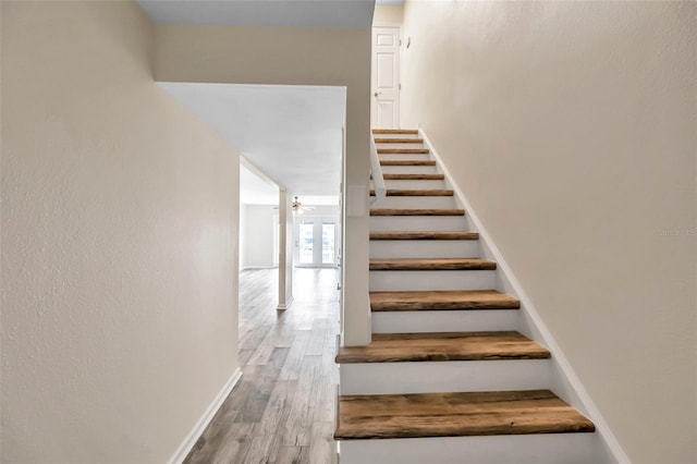 stairway featuring hardwood / wood-style flooring and ceiling fan