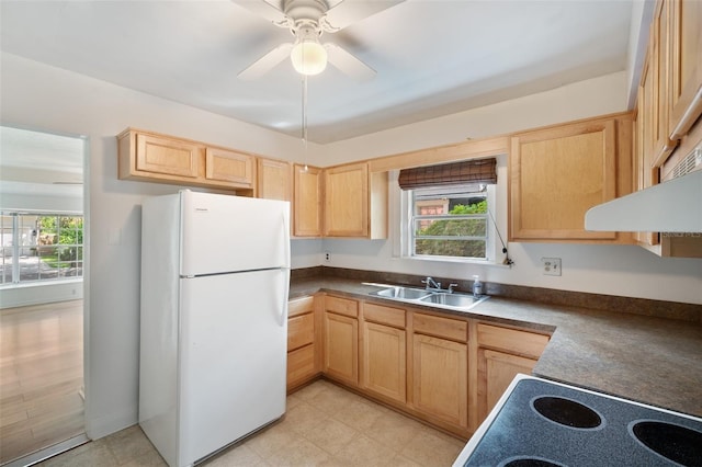 kitchen featuring ceiling fan, sink, a healthy amount of sunlight, white fridge, and light brown cabinetry