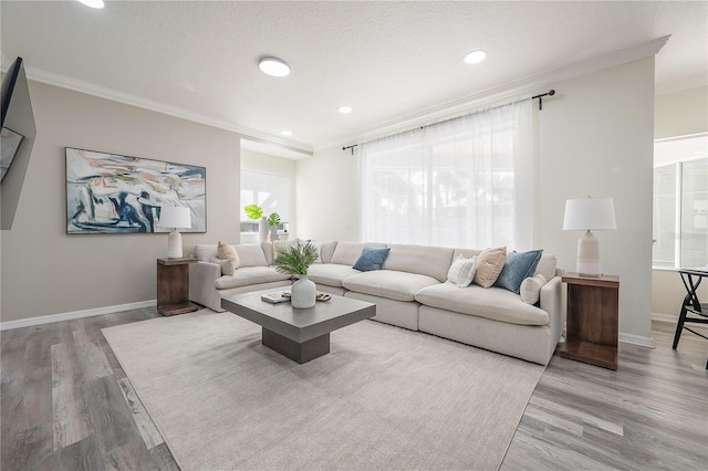 living room with crown molding, hardwood / wood-style flooring, a textured ceiling, and a wealth of natural light