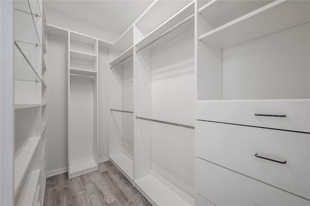 spacious closet featuring light hardwood / wood-style flooring