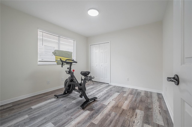 workout room with wood-type flooring