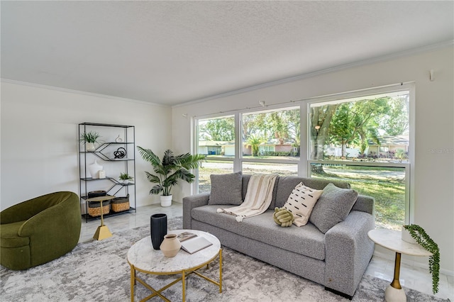 living room with ornamental molding, a textured ceiling, and plenty of natural light