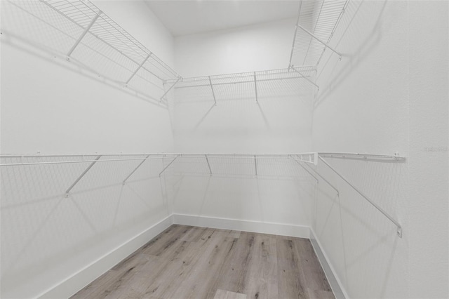 spacious closet with light hardwood / wood-style flooring