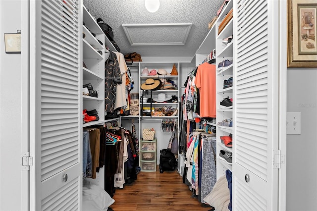 spacious closet with dark wood-type flooring