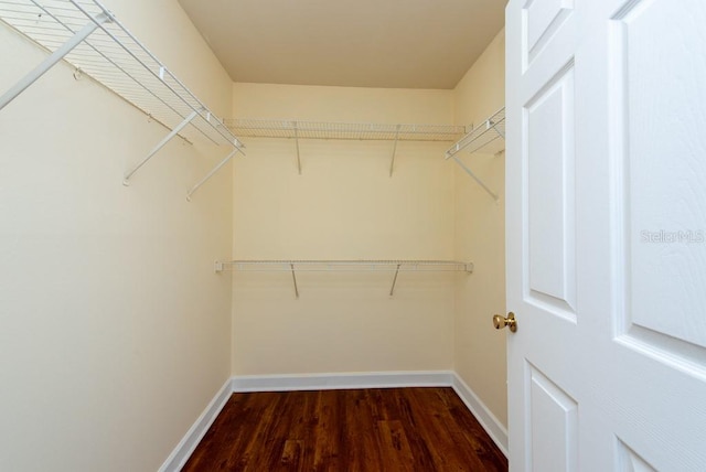 walk in closet featuring dark hardwood / wood-style flooring