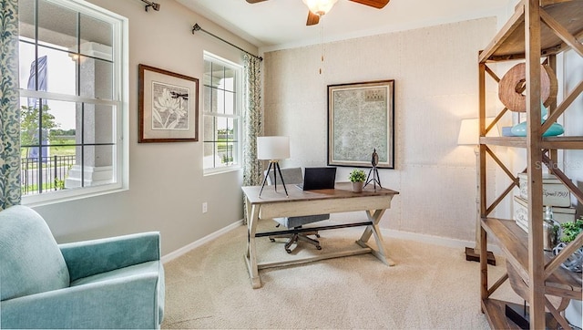 carpeted office space with ceiling fan