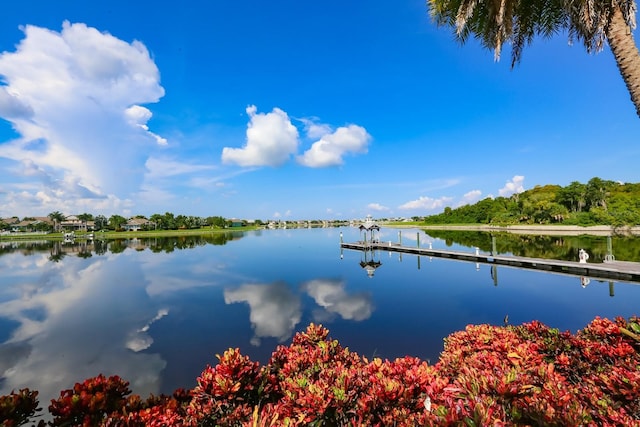 property view of water with a boat dock