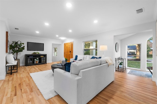 living room featuring crown molding and light hardwood / wood-style floors