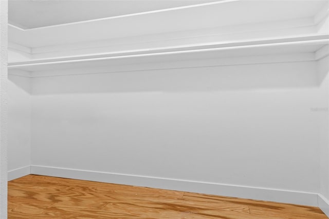 spacious closet featuring wood-type flooring