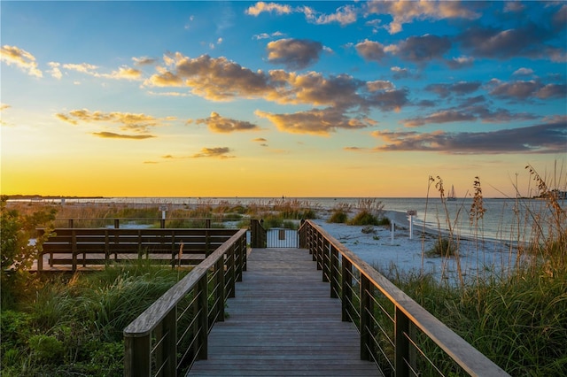 dock area featuring a water view