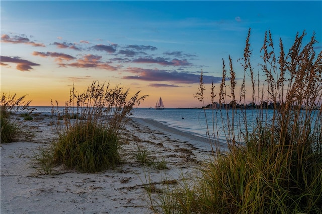 water view featuring a beach view