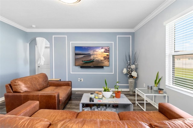 living room with crown molding and wood-type flooring