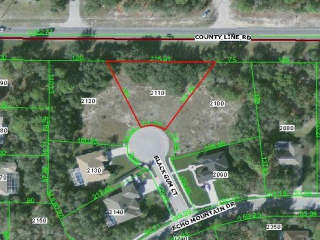 Black Gum Ct, Hudson, FL 34667