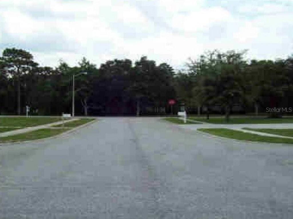 Black Gum Ct, Hudson, FL 34667