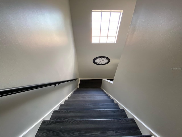 staircase with hardwood / wood-style floors