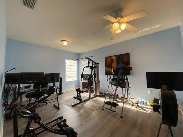 workout area with ceiling fan and hardwood / wood-style floors