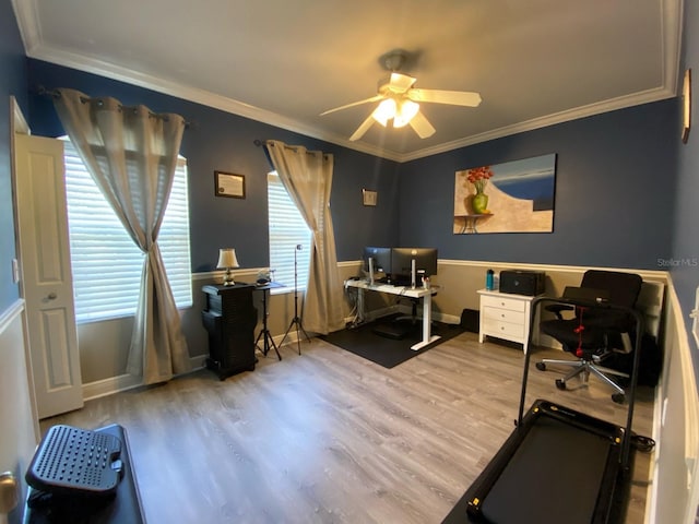 home office with ceiling fan, ornamental molding, and light hardwood / wood-style flooring