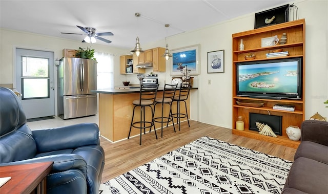 living room featuring ceiling fan and light wood-type flooring