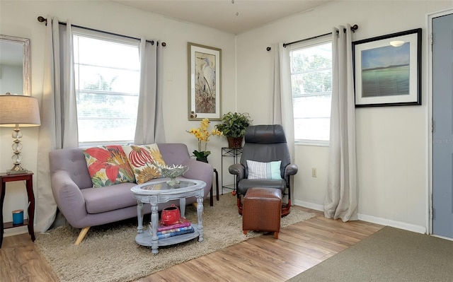 living area with light hardwood / wood-style floors