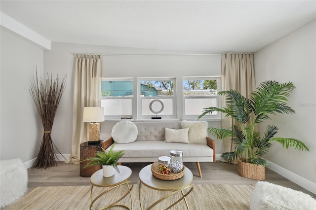 living room featuring light hardwood / wood-style floors