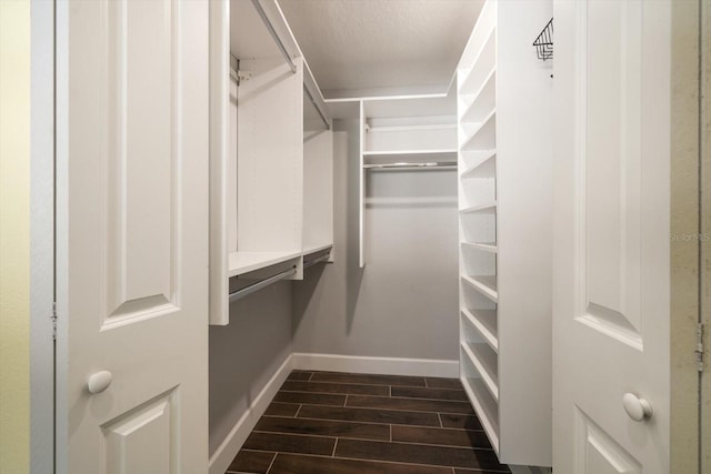 walk in closet with dark wood-type flooring