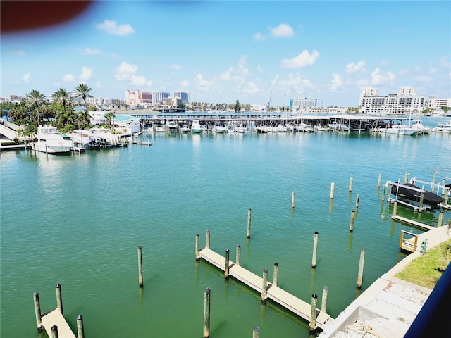 dock area with a water view