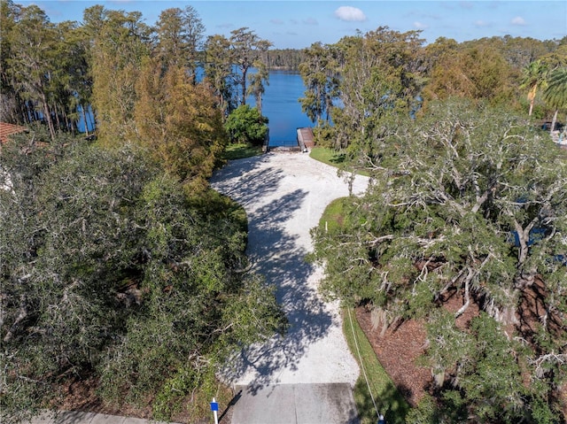 bird's eye view featuring a view of trees and a water view