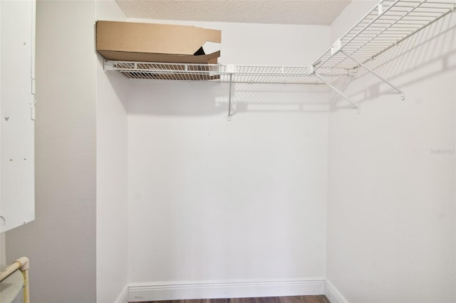 spacious closet with wood-type flooring