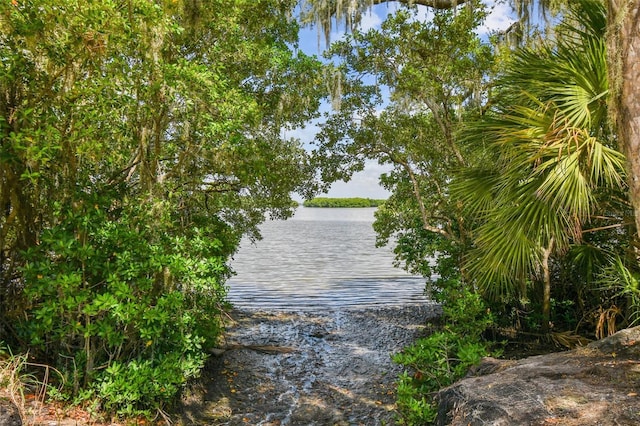 property view of water