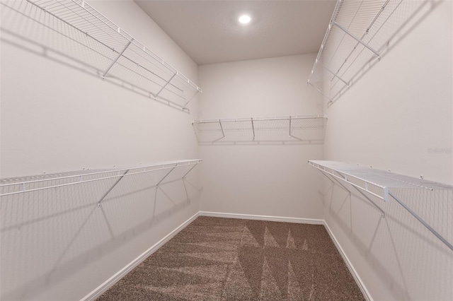 spacious closet with carpet