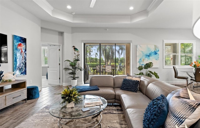 living room featuring crown molding, a raised ceiling, and wood-type flooring