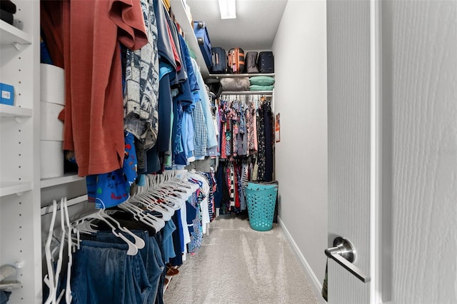 walk in closet featuring carpet flooring