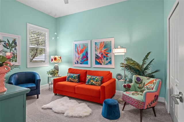 sitting room featuring carpet flooring