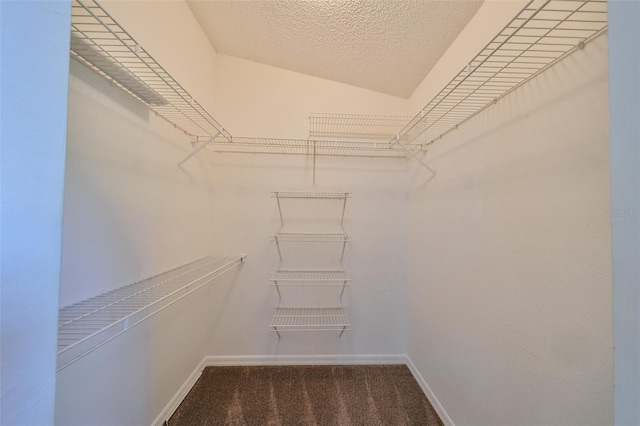 walk in closet with dark colored carpet