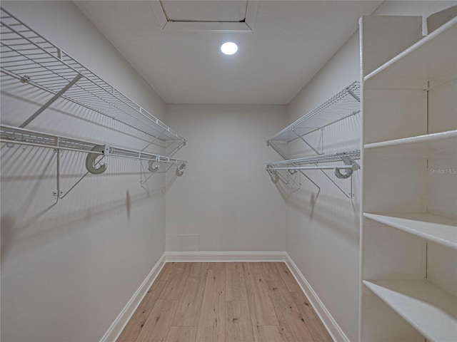 spacious closet with hardwood / wood-style floors