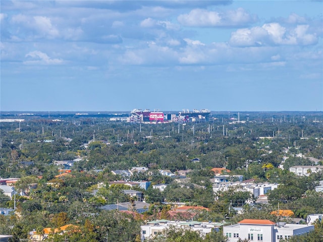 bird's eye view