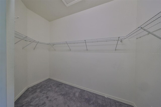 1148 Emerald Hill Way, Valrico, FL 33594 - spacious closet featuring carpet flooring